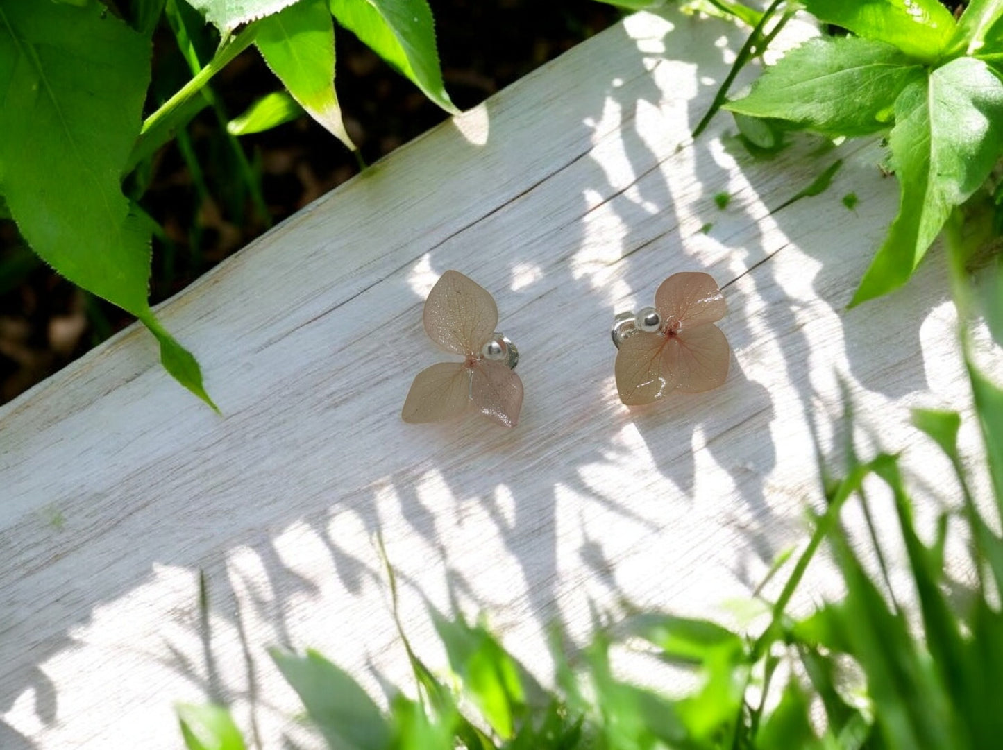 Clous d'oreilles Hydrangea